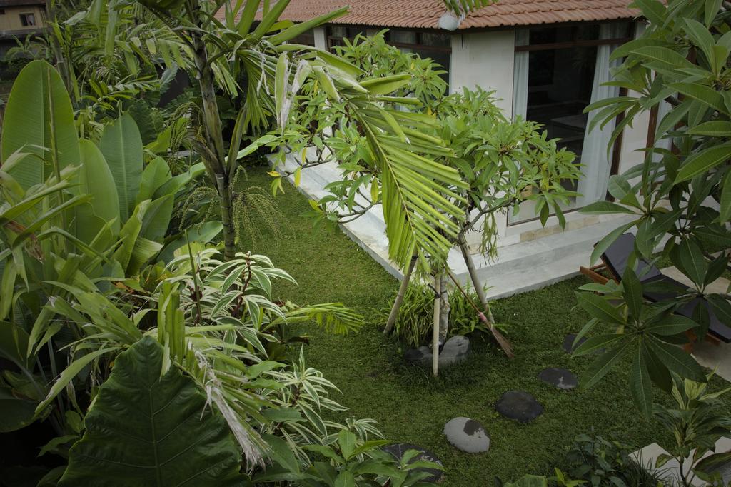 Dugul Ubud Oda fotoğraf